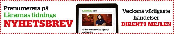 Bild B